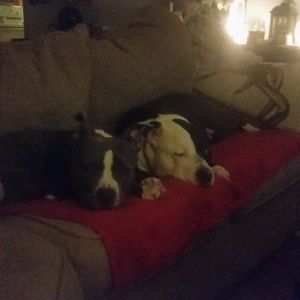 Meet your Posher, Linda